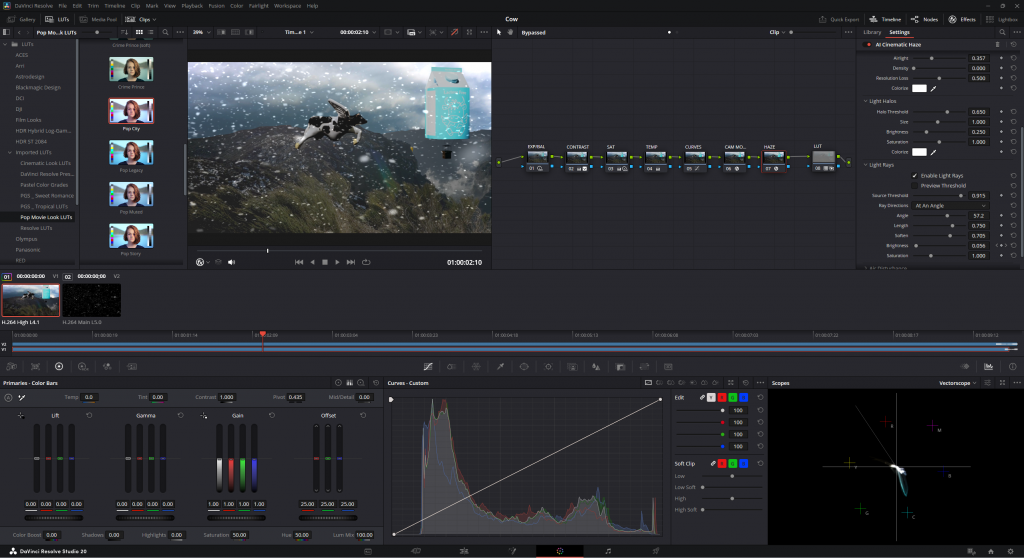 Balloon Festival Project – Floria's VFX Blog